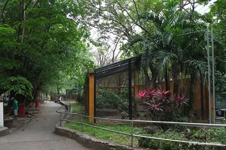 Manila Zoological and Botanical Garden