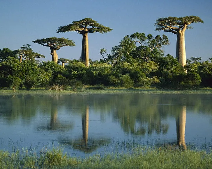 Manjakatompo National Park