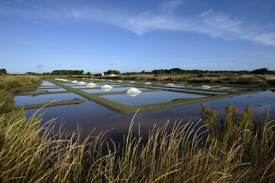 Marais Salants de Noirmoutier