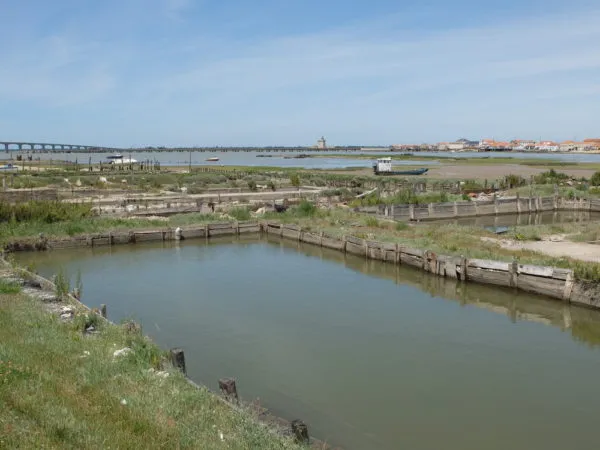 Marais des Bris