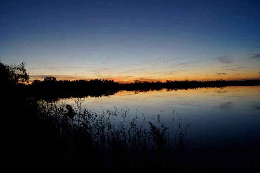 Marais du Vigueirat