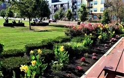 Marcum Park