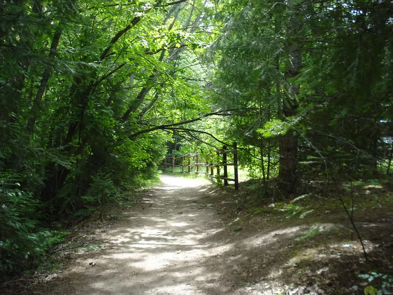 Margaret Falls