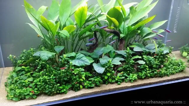 Maribor Aquarium-Terrarium
