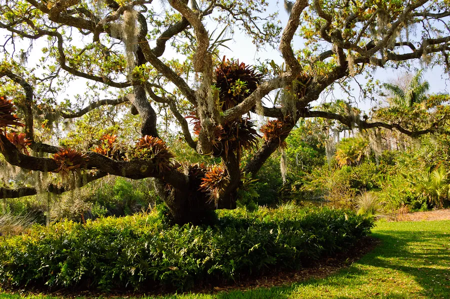 Marie Selby Botanical Gardens