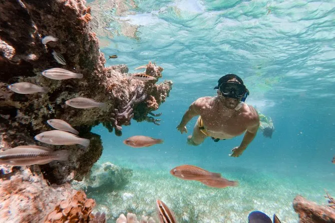 Marinarium Excursion