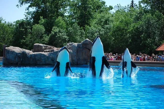 Marineland