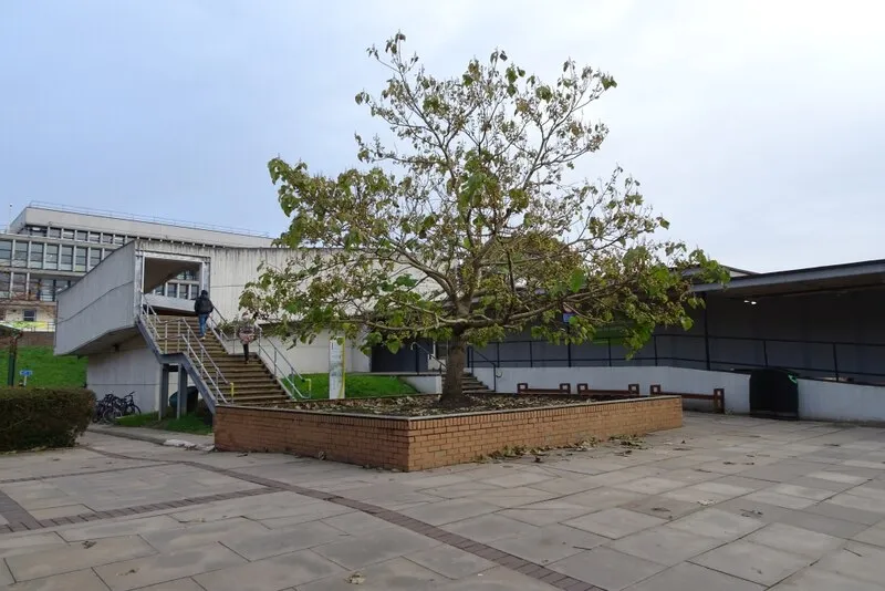 Market Square