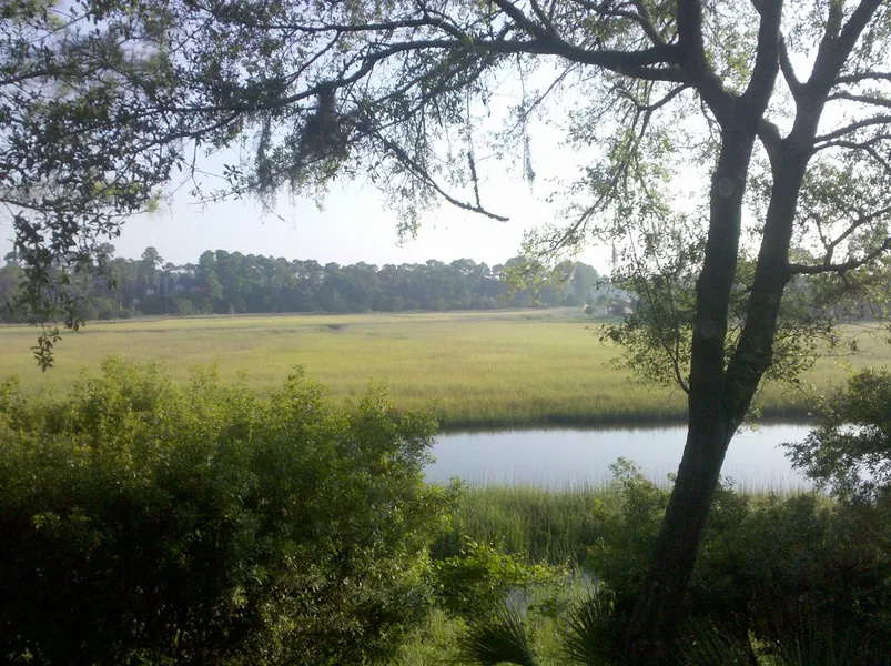 Marsh Island Park