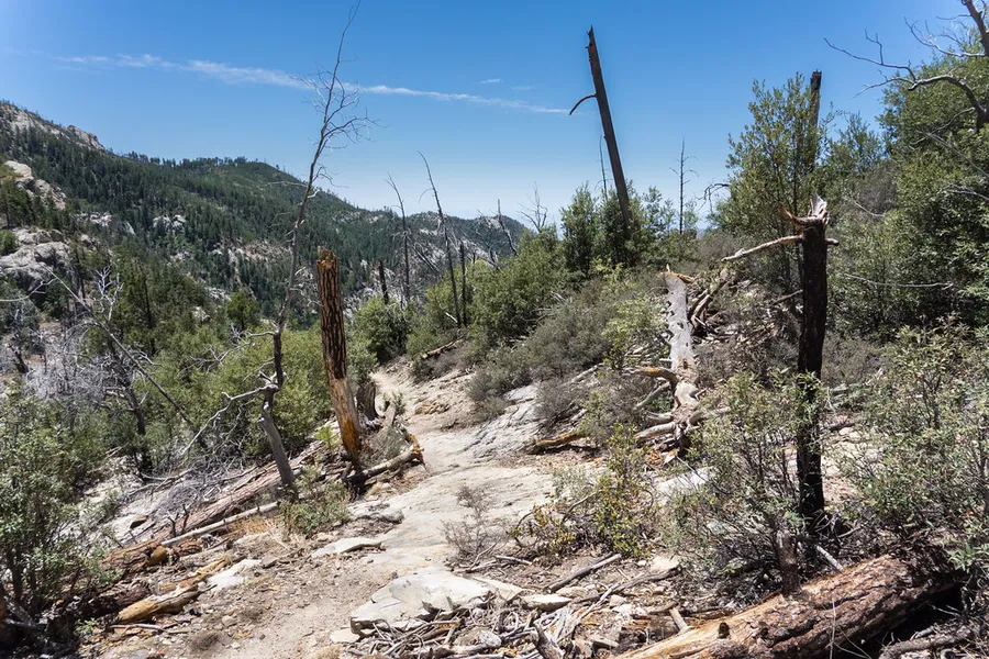 Marshall Gulch Trail