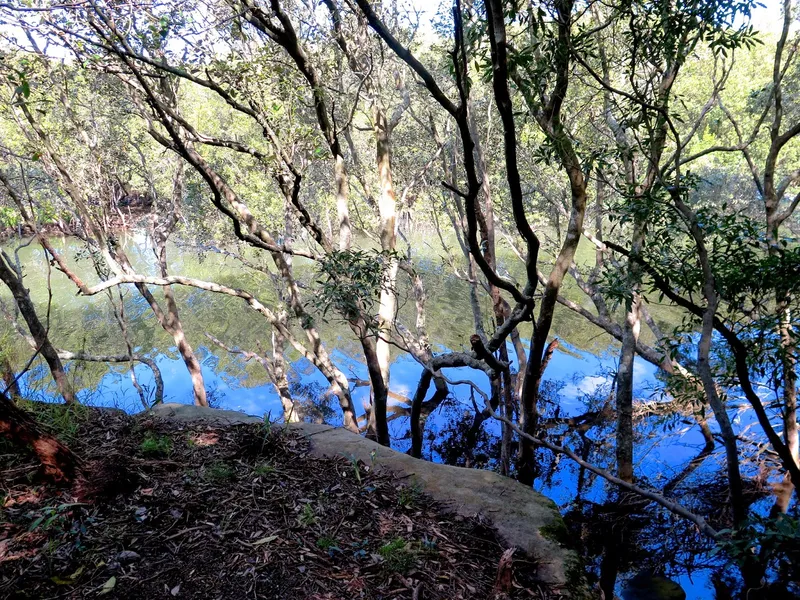Marshalls Creek Nature Reserve