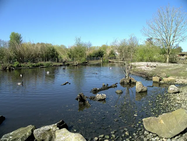 Martin Mere Wetland Centre