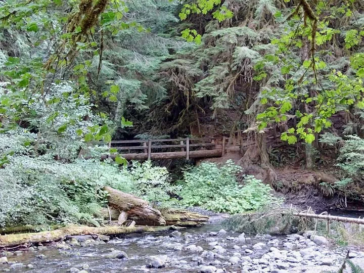 Marymere Falls