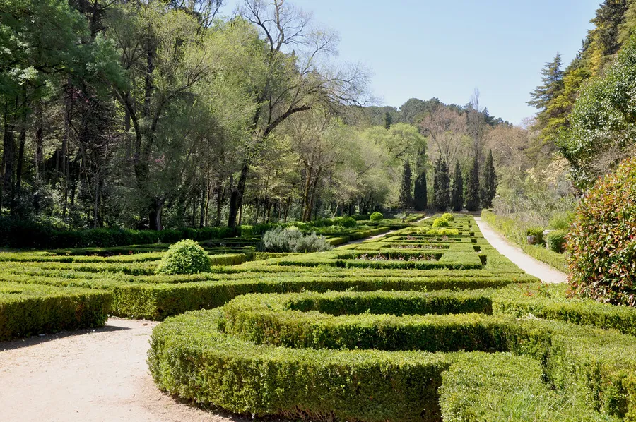 Mata Nacional dos Sete Montes