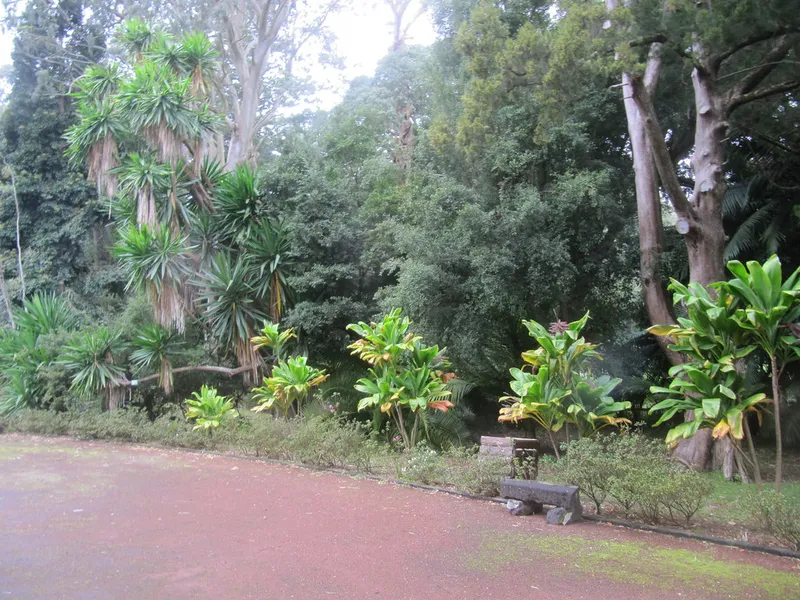 Mata-Jardim José do Canto