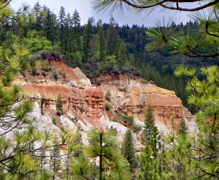 Matthews State Park