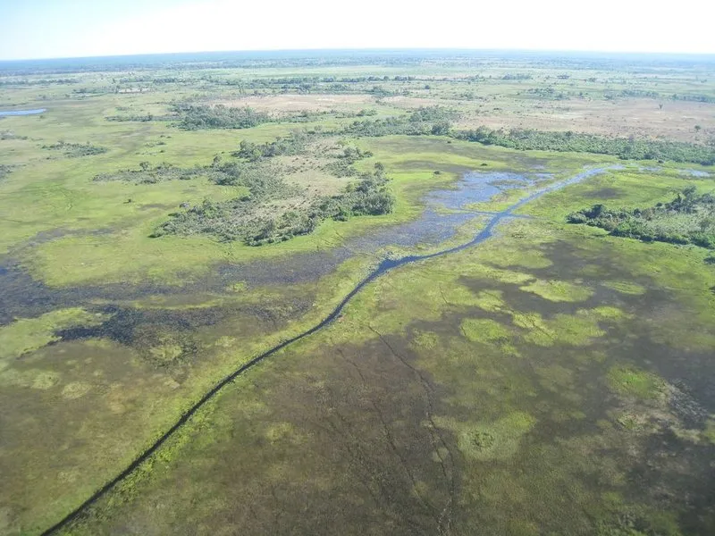 Maun Game Reserve