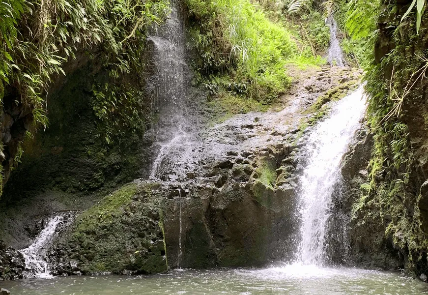Maunawili Falls Trail