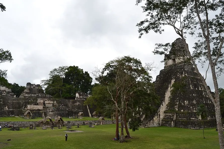 Mayan Medicinal Plant Garden