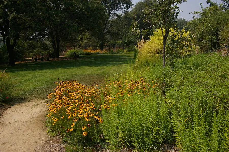 McConnell Arboretum & Botanical Gardens