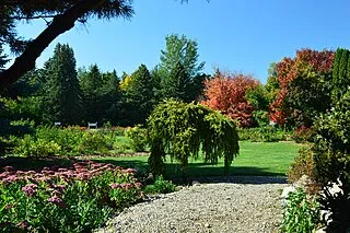 McCrory Gardens