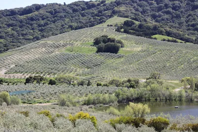 McEvoy Ranch