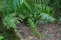 McKee Botanical Garden