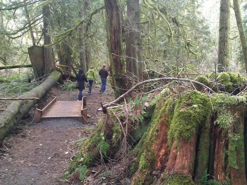 McLane Creek Nature Trail