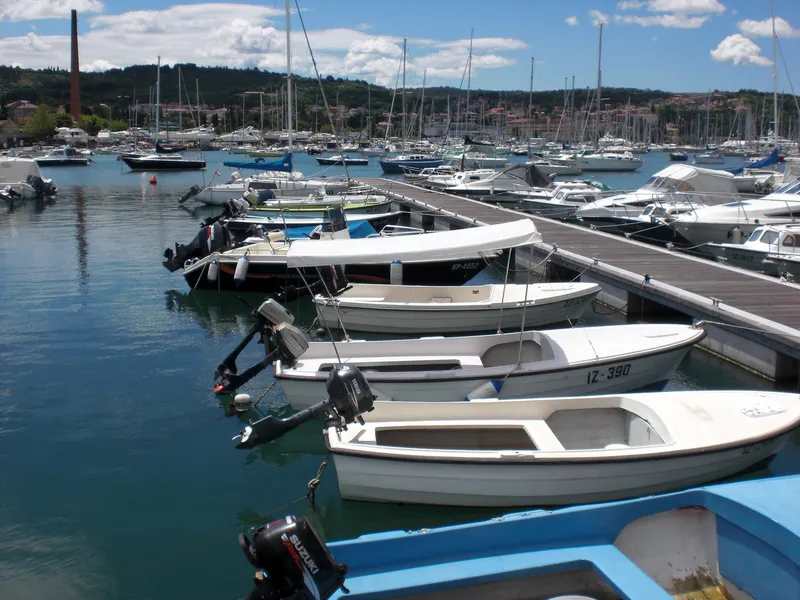 Mediadog Portorož