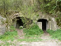 Megyer-hegy Tarn