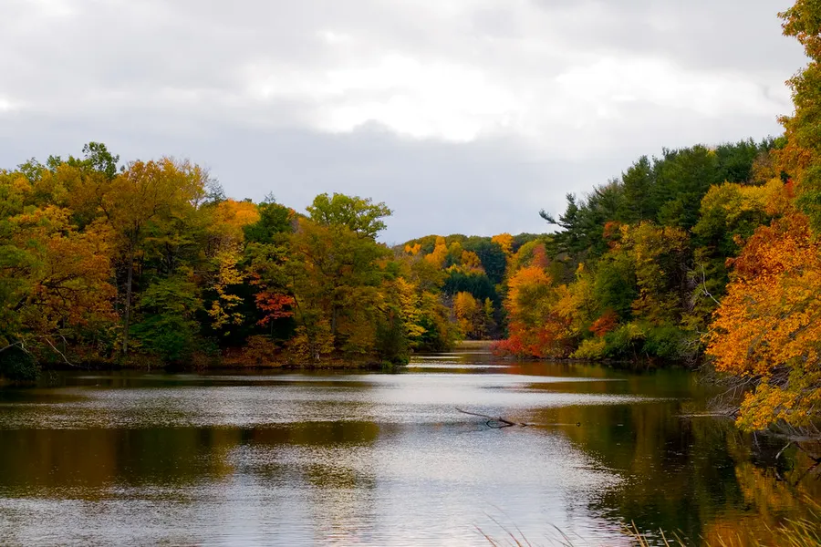 Memorial Park