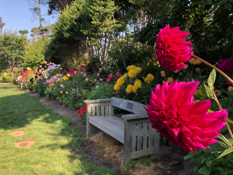 Mendocino Coast Botanical Gardens