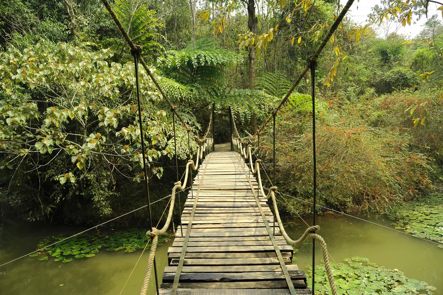 Mengla Tropical Rainforest