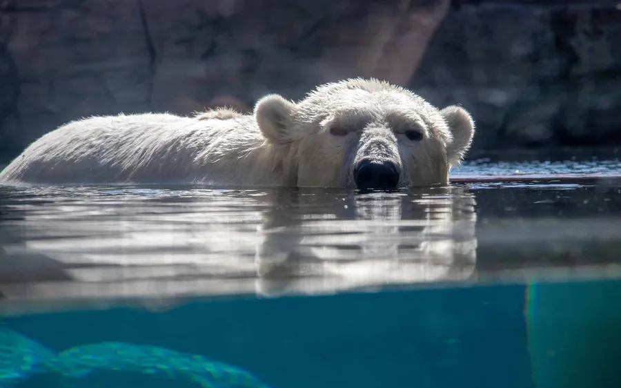 Menominee Park Zoo