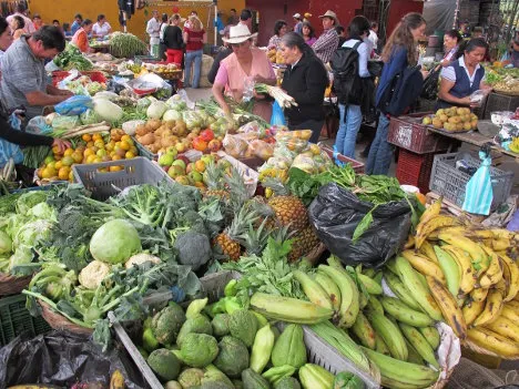 Mercado Campesino