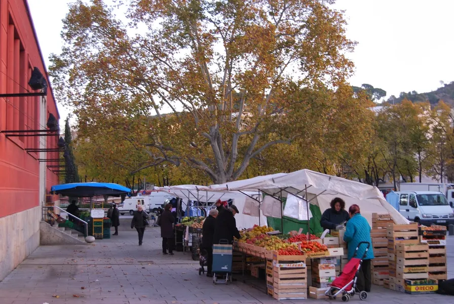 Mercat del Lleó