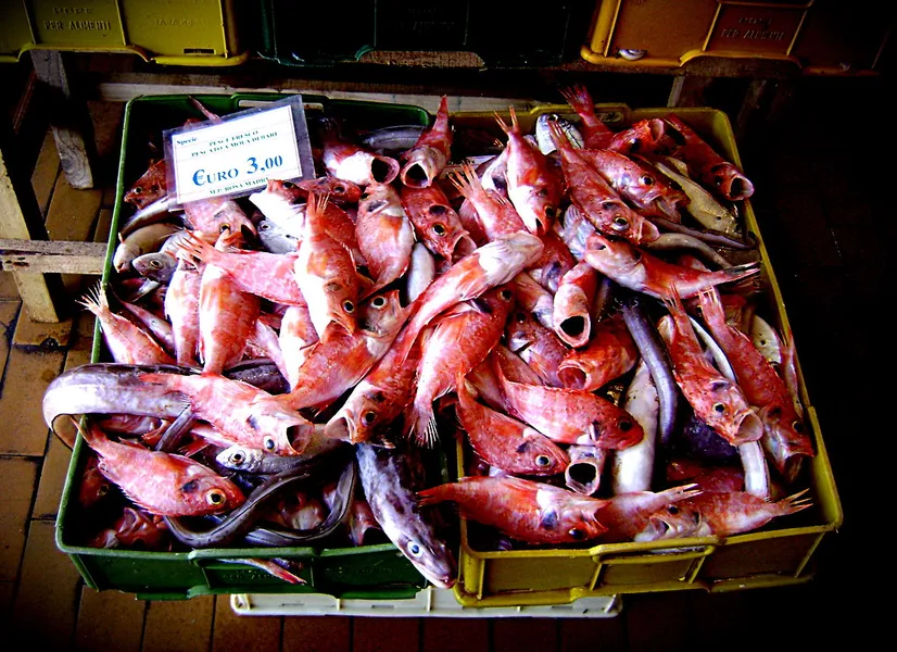 Mercato del Pesce