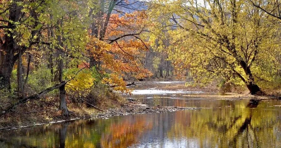Merrill W. Linn Land and Waterways Preserve