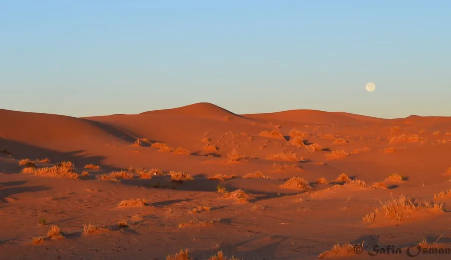 Merzouga Desert