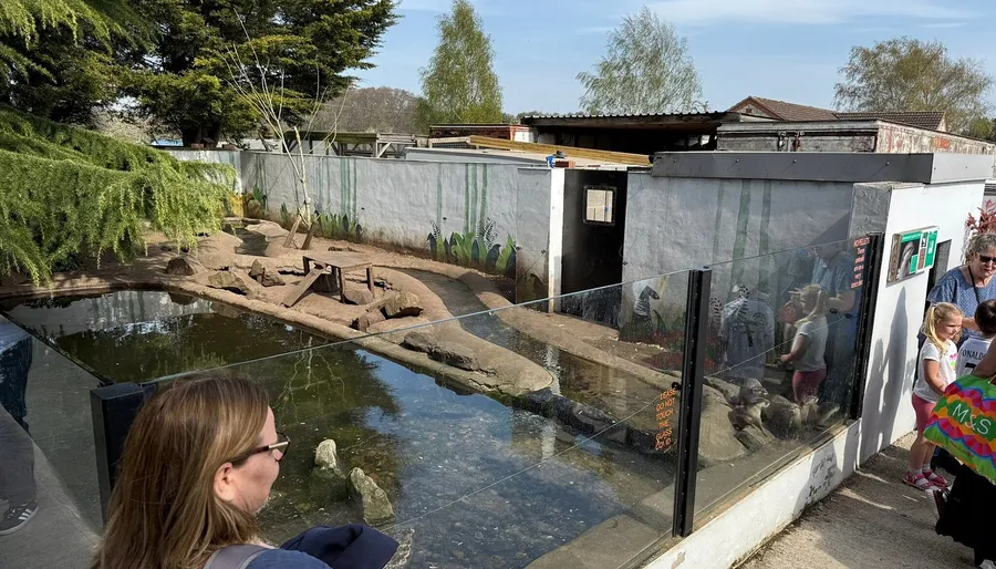 Messingham Zoo