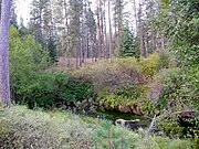 Metolius River