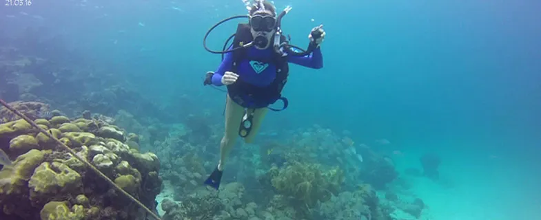 Mexico Rocks