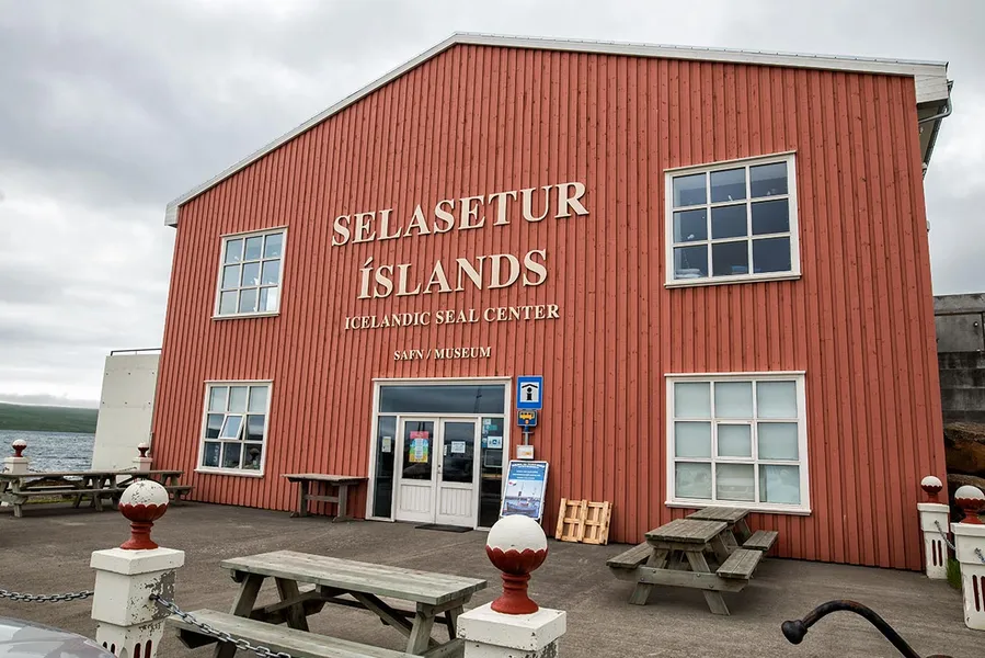 Miðfjörður