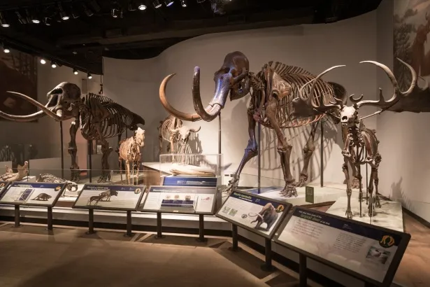 Middle Tennessee Museum of Natural History