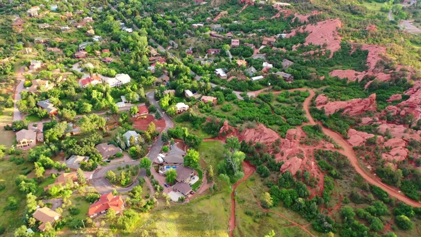 Midland City Forest
