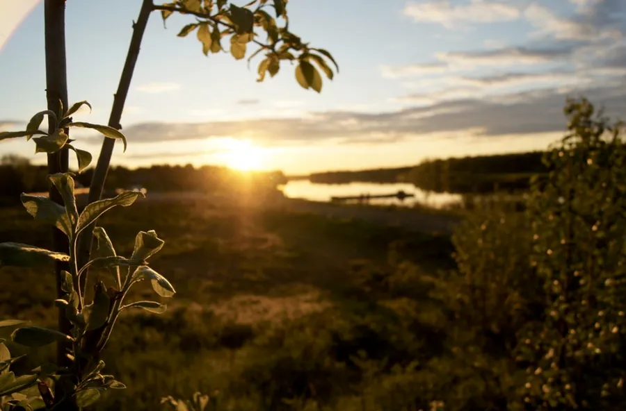 Midnight Sun Film Festival