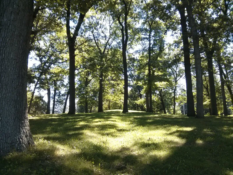 Milham Park