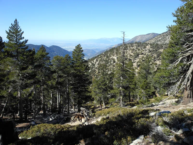 Mill Creek Canyon