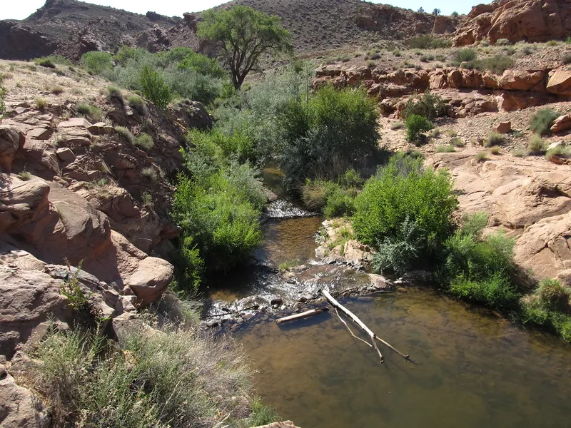 Mill Creek Trail