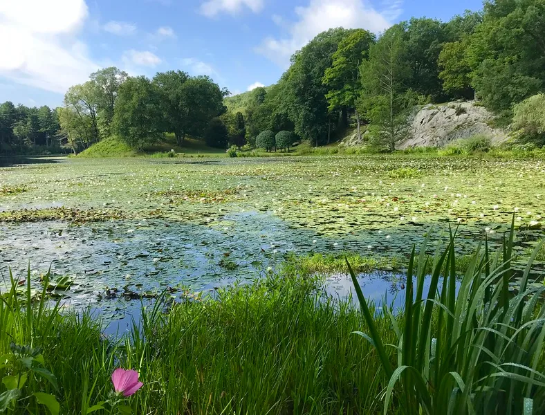 Millbrook Meadow Conservation Area